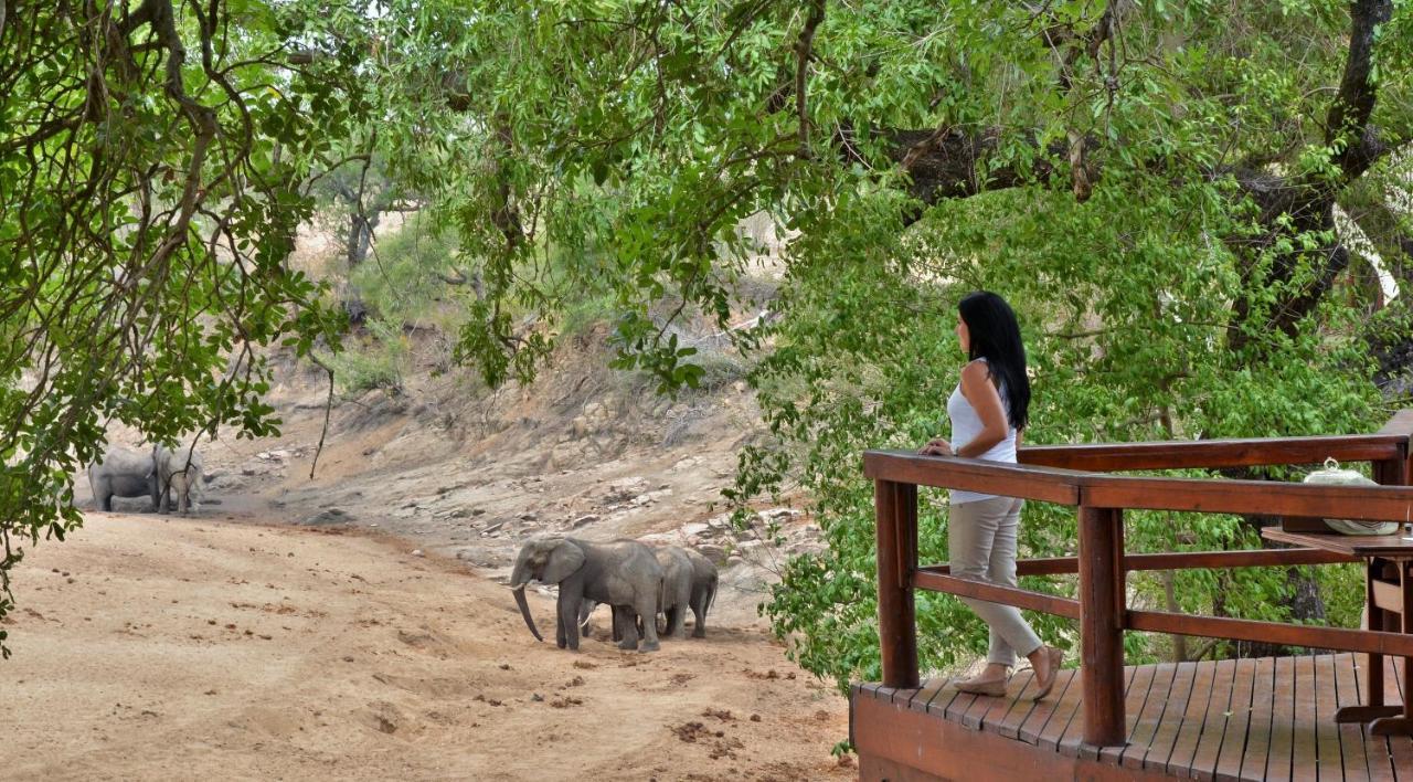 Hamiltons Tented Camp Mluwati Concession Ngoại thất bức ảnh