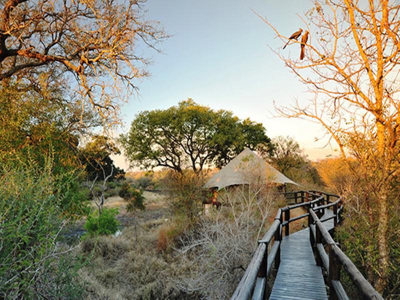 Hamiltons Tented Camp Mluwati Concession Ngoại thất bức ảnh
