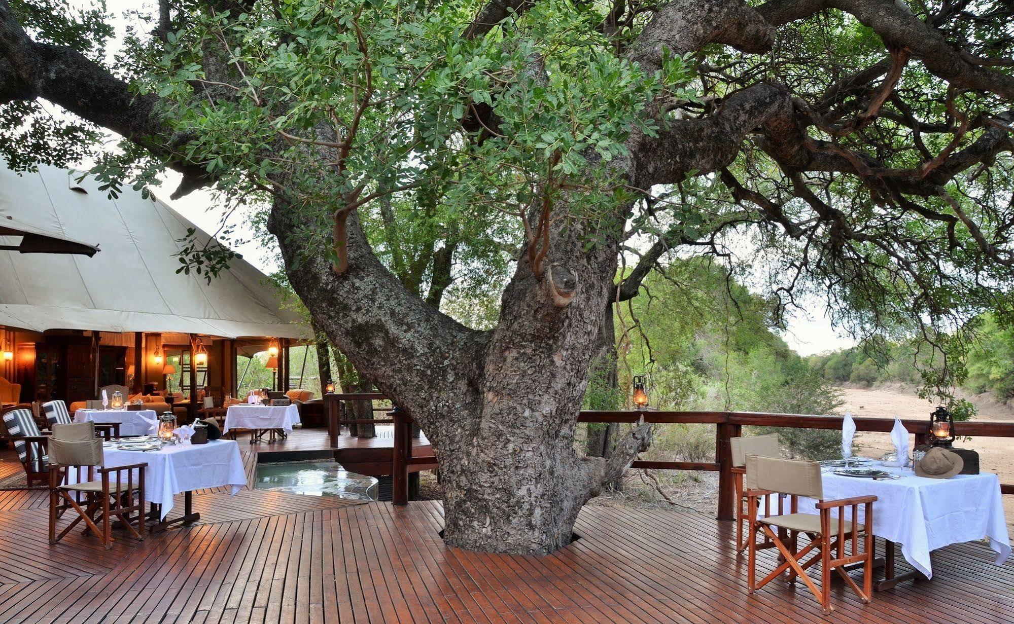 Hamiltons Tented Camp Mluwati Concession Ngoại thất bức ảnh