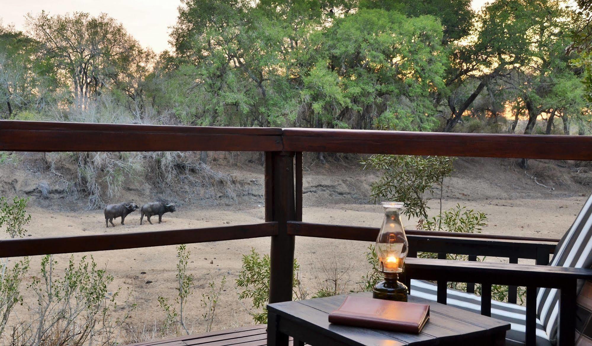 Hamiltons Tented Camp Mluwati Concession Ngoại thất bức ảnh