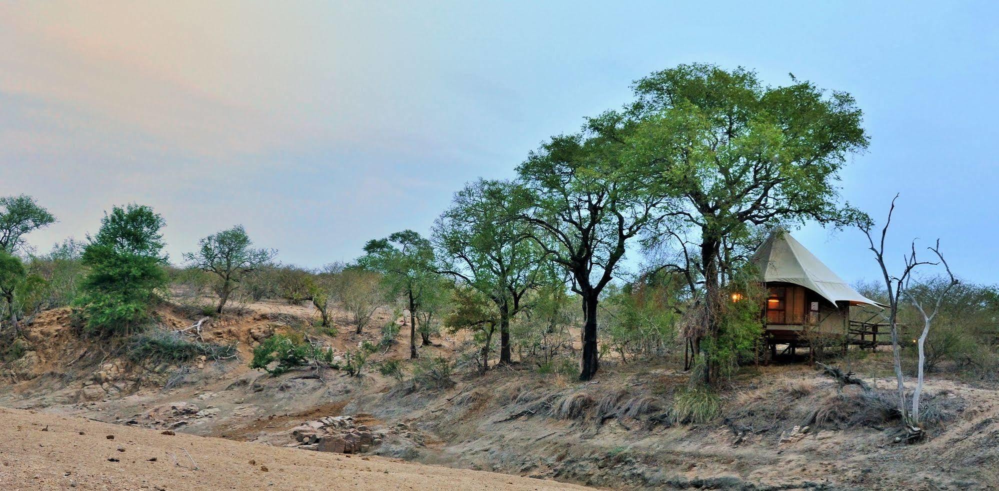 Hamiltons Tented Camp Mluwati Concession Ngoại thất bức ảnh